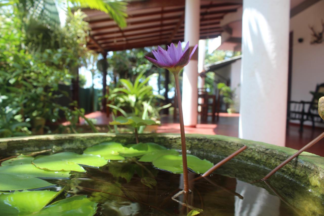 Julie Guest House Tangalle Buitenkant foto