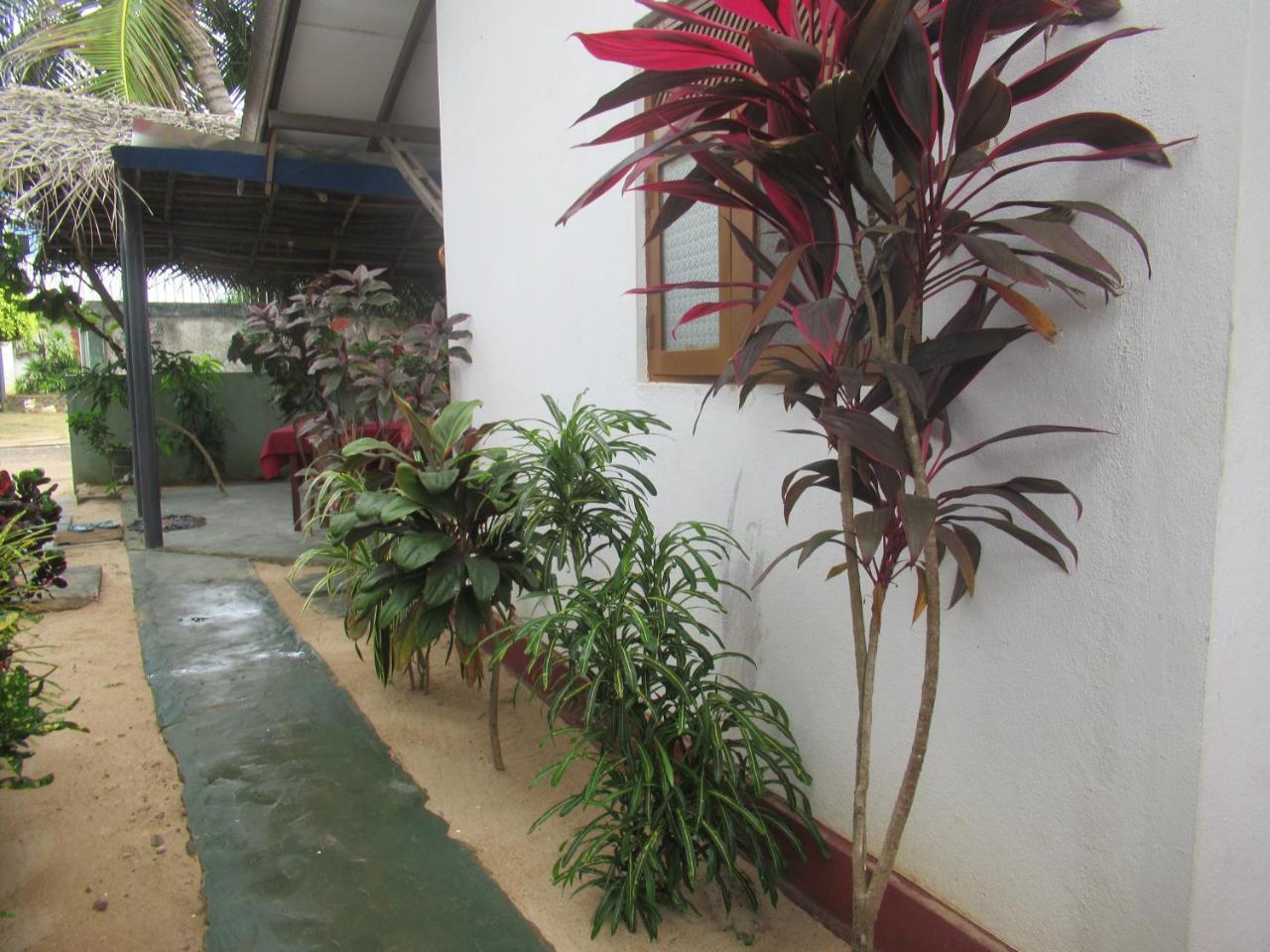 Julie Guest House Tangalle Buitenkant foto